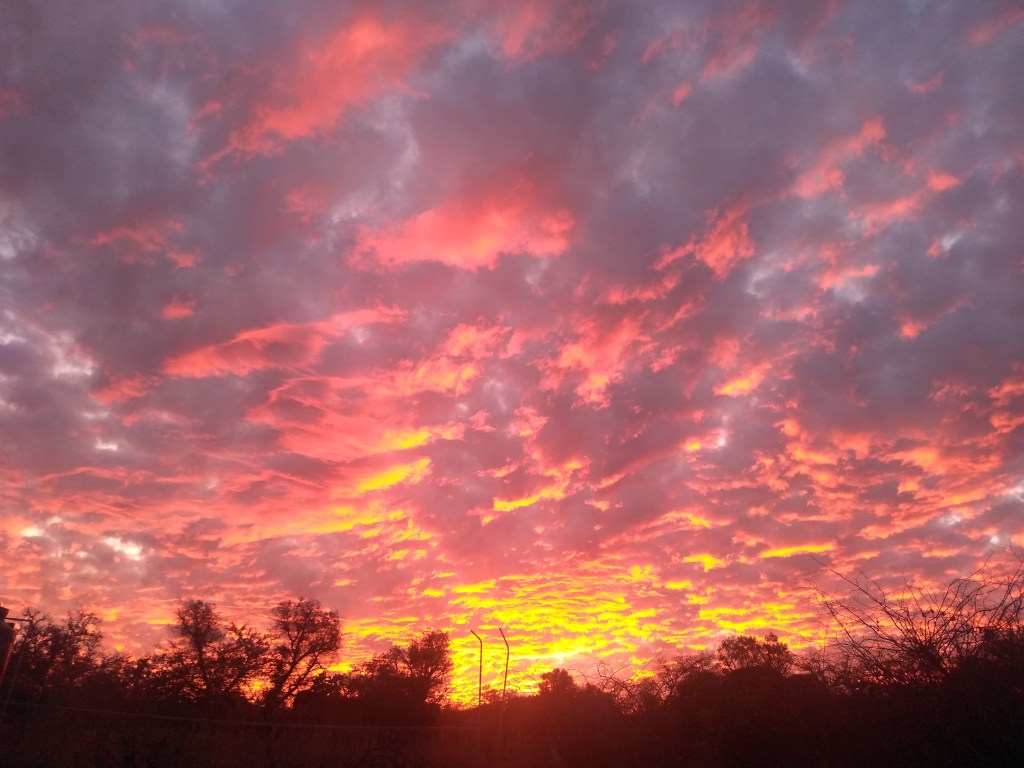 ¿Qué ves en un&nbsp;atardecer?
