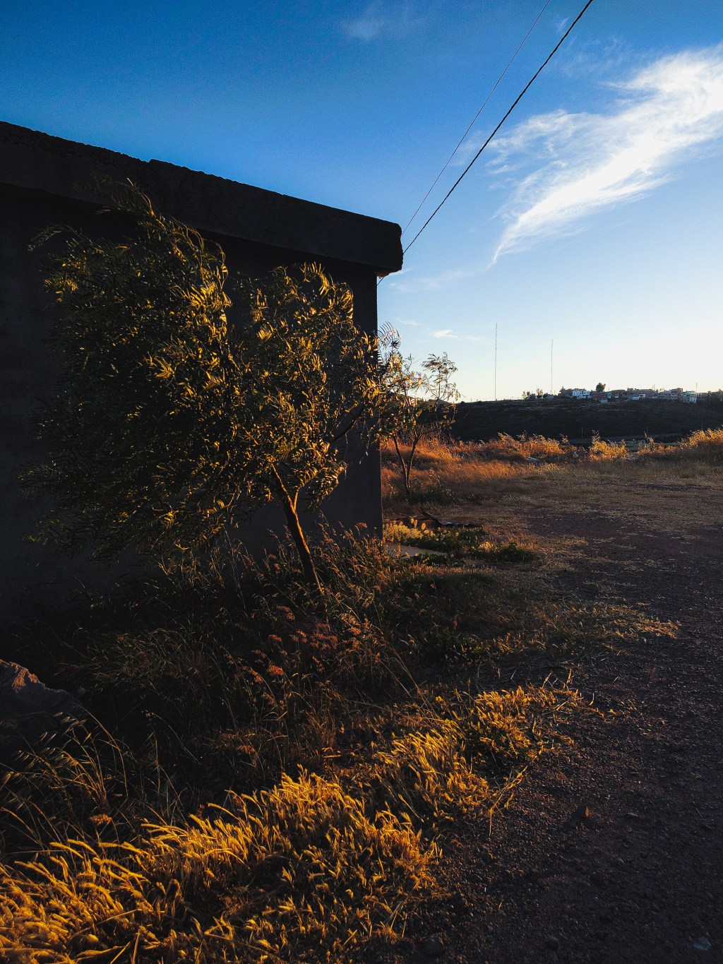 Recuerdos de un alma&nbsp;solitaria.