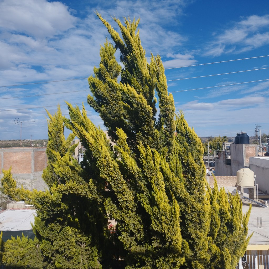 De un tiempo a&nbsp;acá