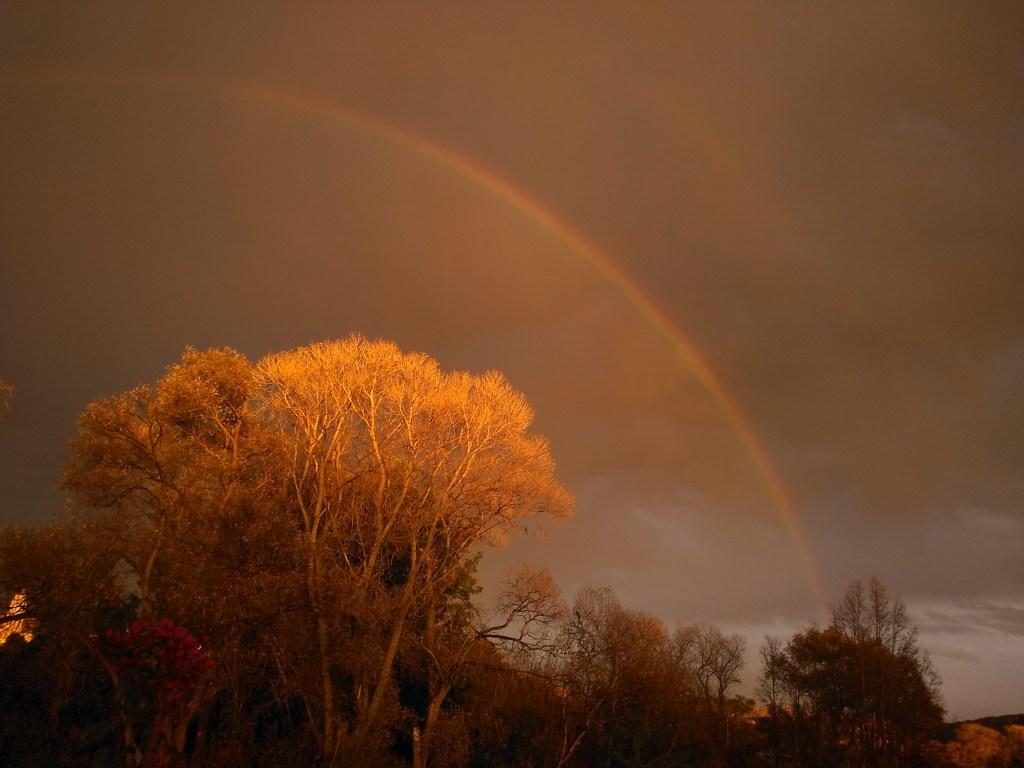 De un Rocío a un&nbsp;Torrente