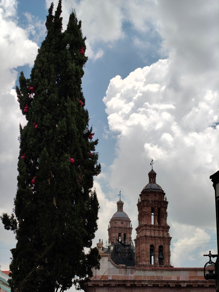 Lo que el tiempo&nbsp;toca